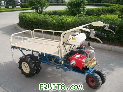 2009917164233510.jpg