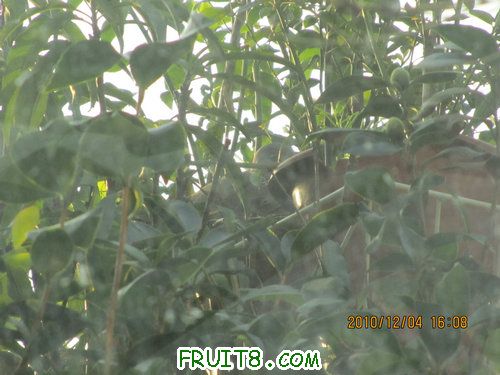 IMG_3528_1.JPG