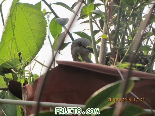 IMG_3625_1.JPG