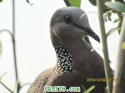 IMG_3632_1.JPG