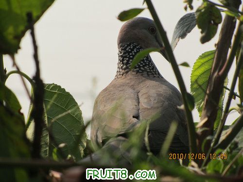 IMG_3649_1.JPG