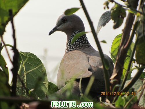 IMG_3651_1.JPG