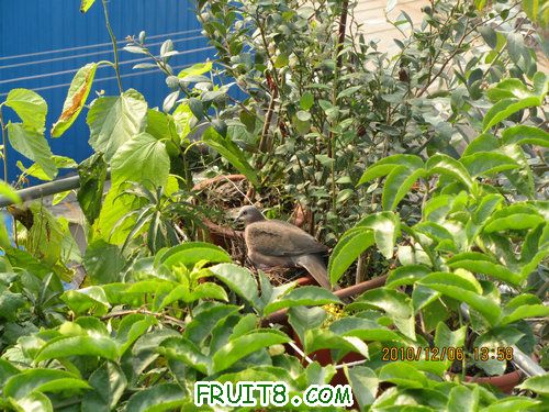 IMG_3676_1.JPG
