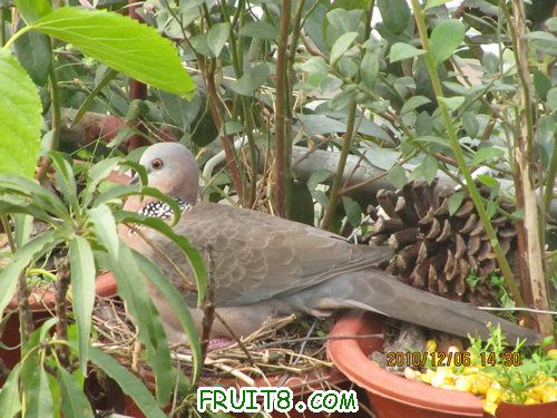 IMG_3730_1.JPG
