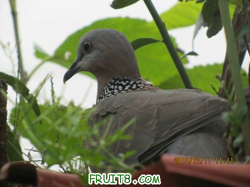 IMG_4103.JPG