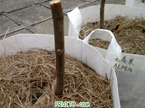 Ƭ0217.jpg
