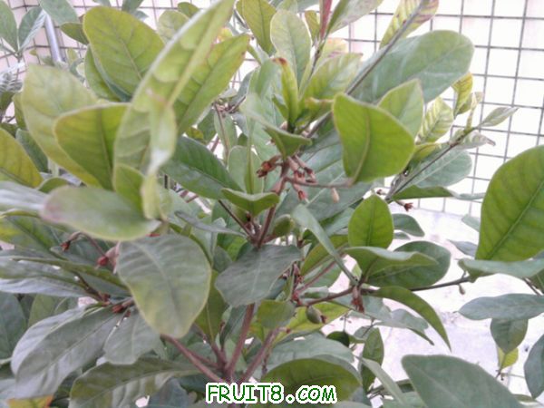 Ƭ0227.jpg