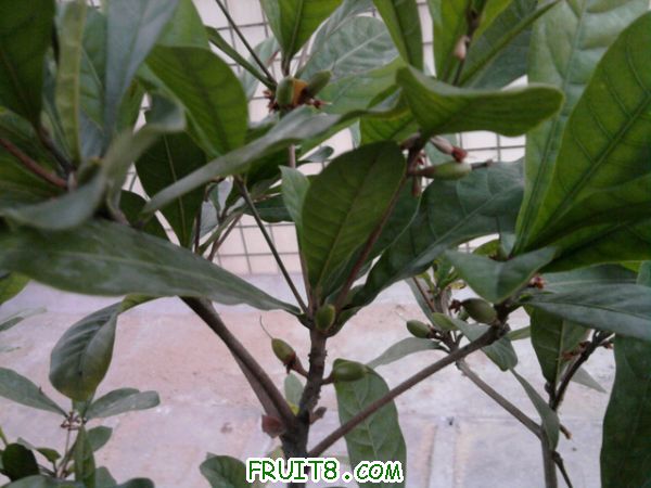 Ƭ0228.jpg