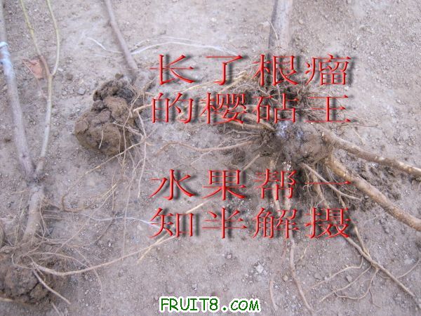 IMG_03744.jpg