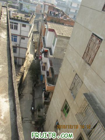 IMG_4628.JPG