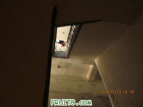 IMG_4639.JPG