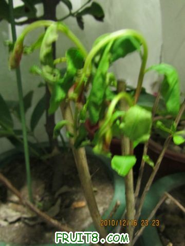 IMG_5053_1.JPG