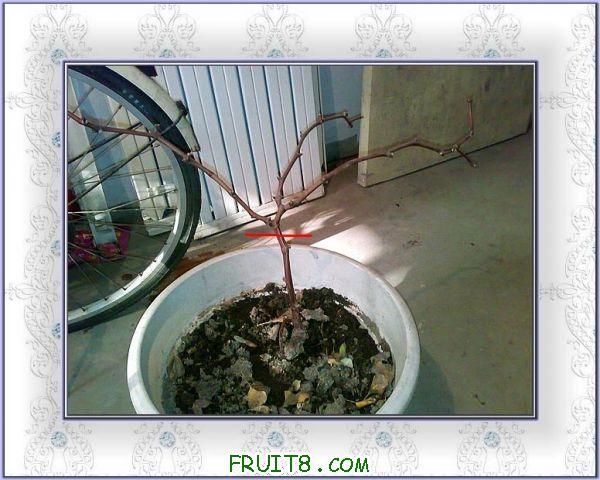 20101221420�����޼�.JPG