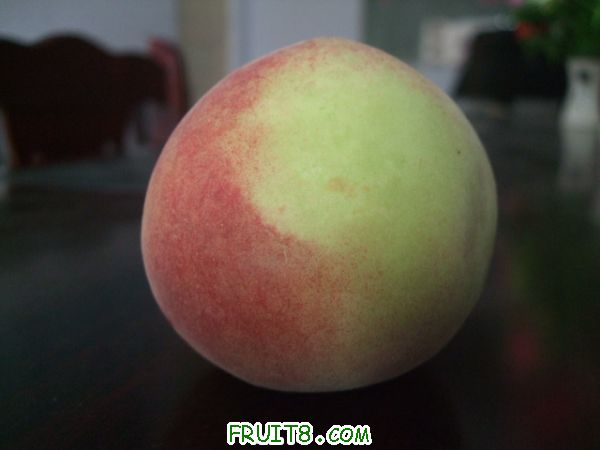 6��27 ����Ʒ�� 013.jpg