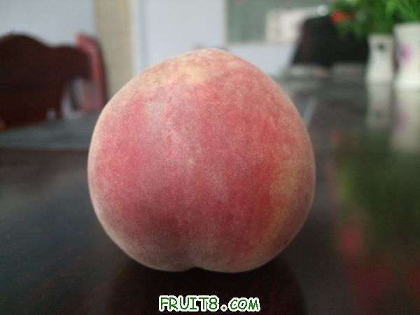 6��27 ����Ʒ�� 012.jpg