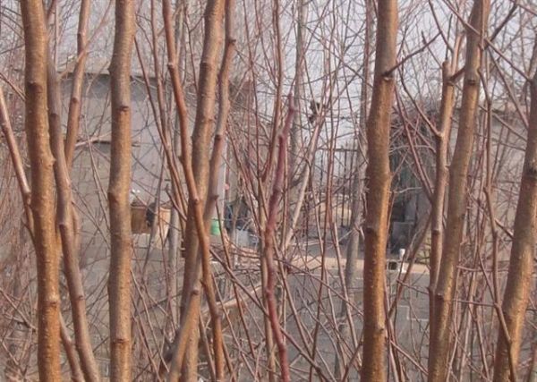 �� (С��).jpg