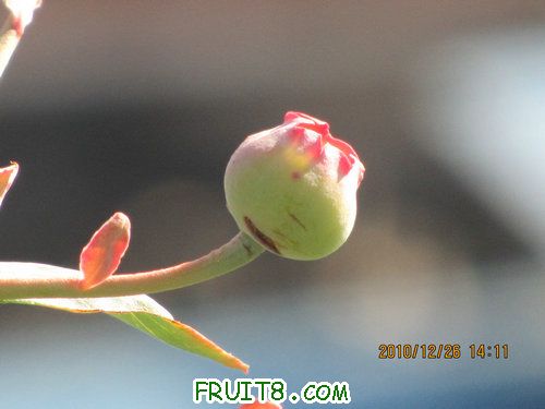 IMG_5918.JPG