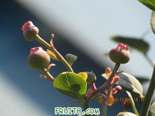 IMG_5921.JPG