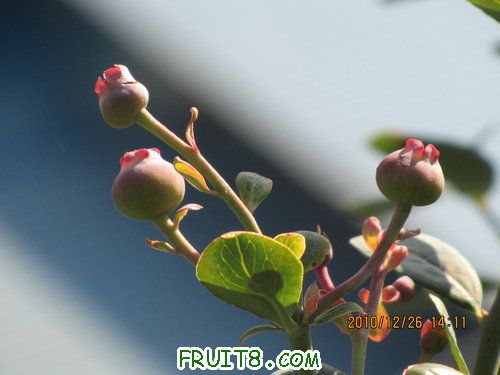 IMG_5922.JPG