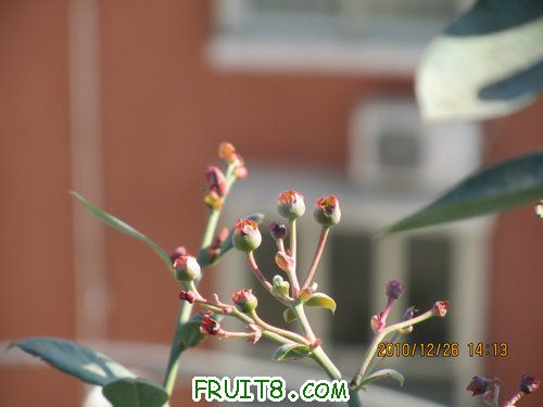 IMG_5928.JPG