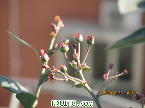 IMG_5929.JPG