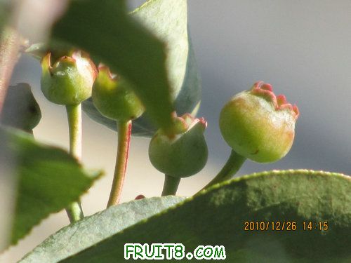 IMG_5934.JPG