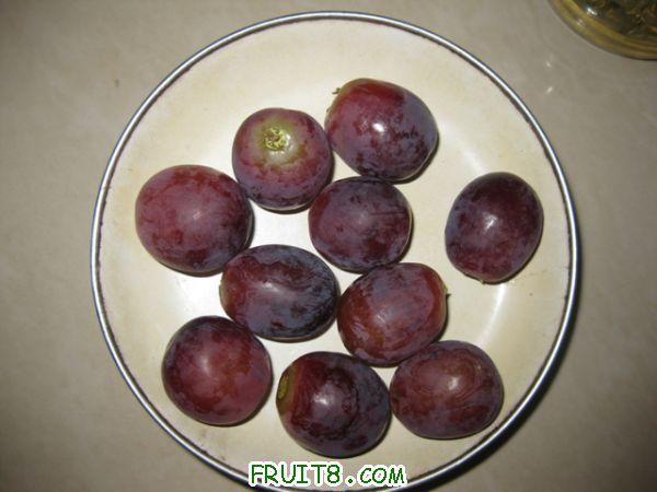 IMG_0774.jpg