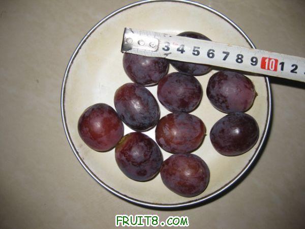 IMG_0777.jpg
