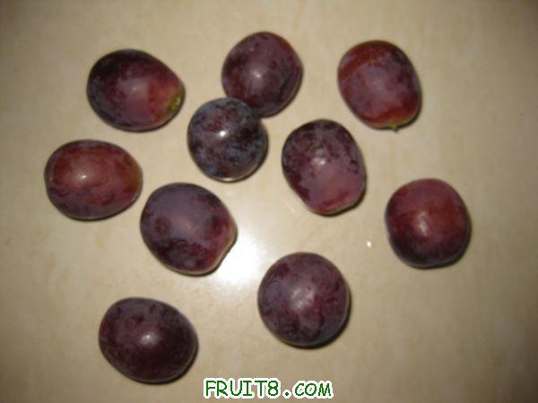 IMG_0781.jpg