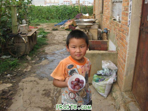 IMG_0788.jpg