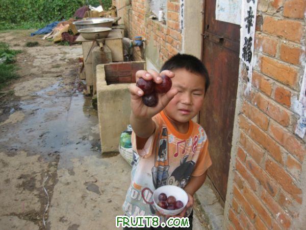 IMG_0789.jpg