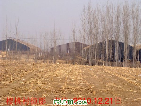 DSC00518.JPG