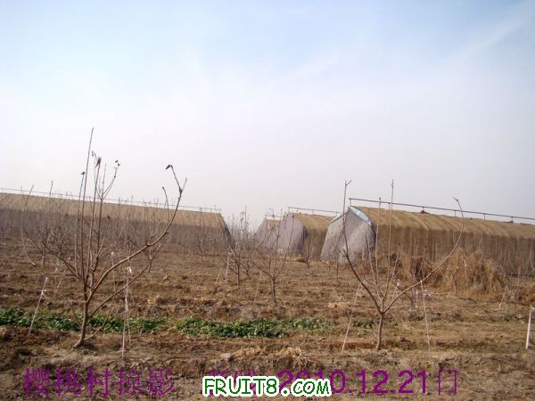 DSC00529.JPG