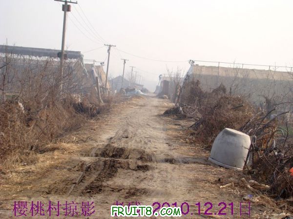 DSC00532.JPG