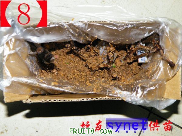 DSCF3916.JPG