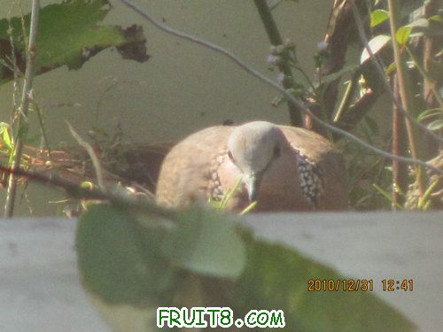 IMG_6370.JPG