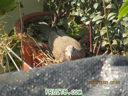 IMG_6378.JPG