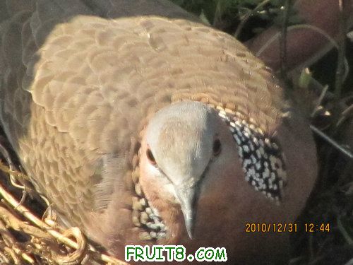 IMG_6380.JPG
