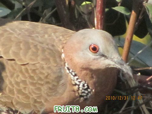 IMG_6392.JPG