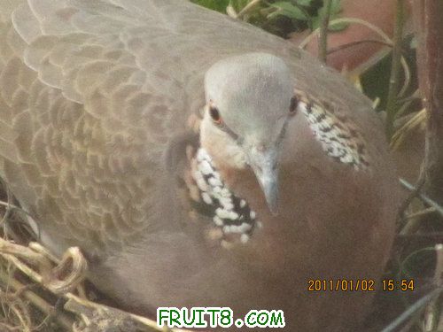IMG_6716.JPG