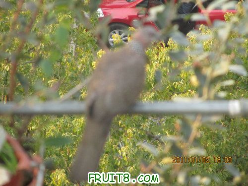 IMG_6752.JPG