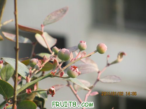 IMG_6605.JPG