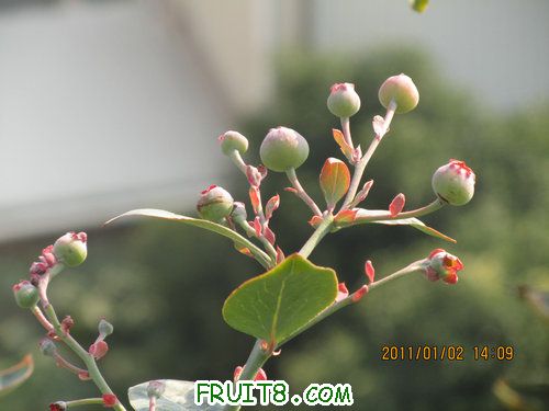 IMG_6616.JPG