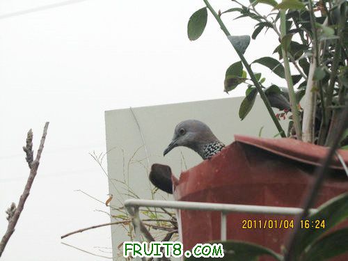 IMG_6870.JPG