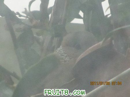 IMG_7039.JPG