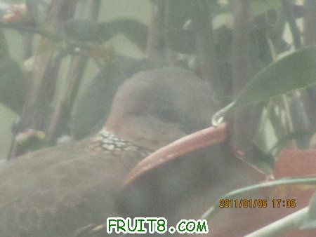 IMG_7049.JPG