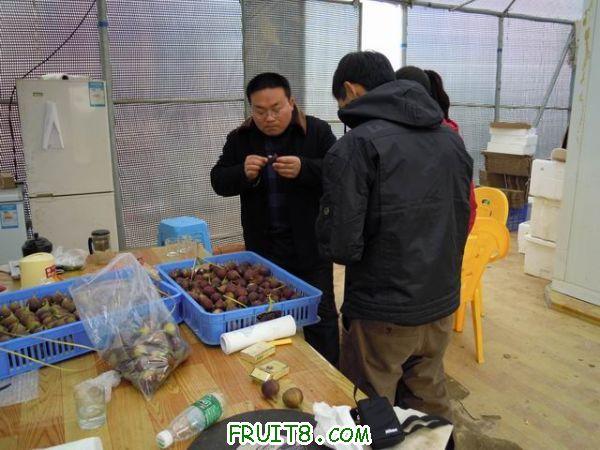 �ڹ���֬.jpg