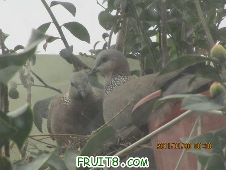 IMG_7085.JPG
