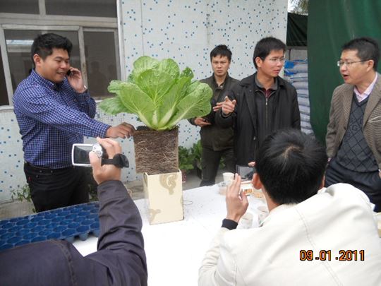 DSCN1223.jpg