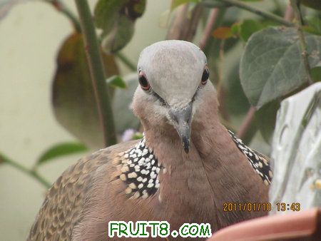 IMG_7256.JPG